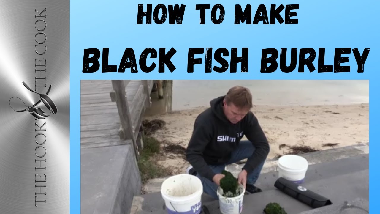 HOW TO MAKE BLACK FISH BURLEY | You will have the fish coming back for more.