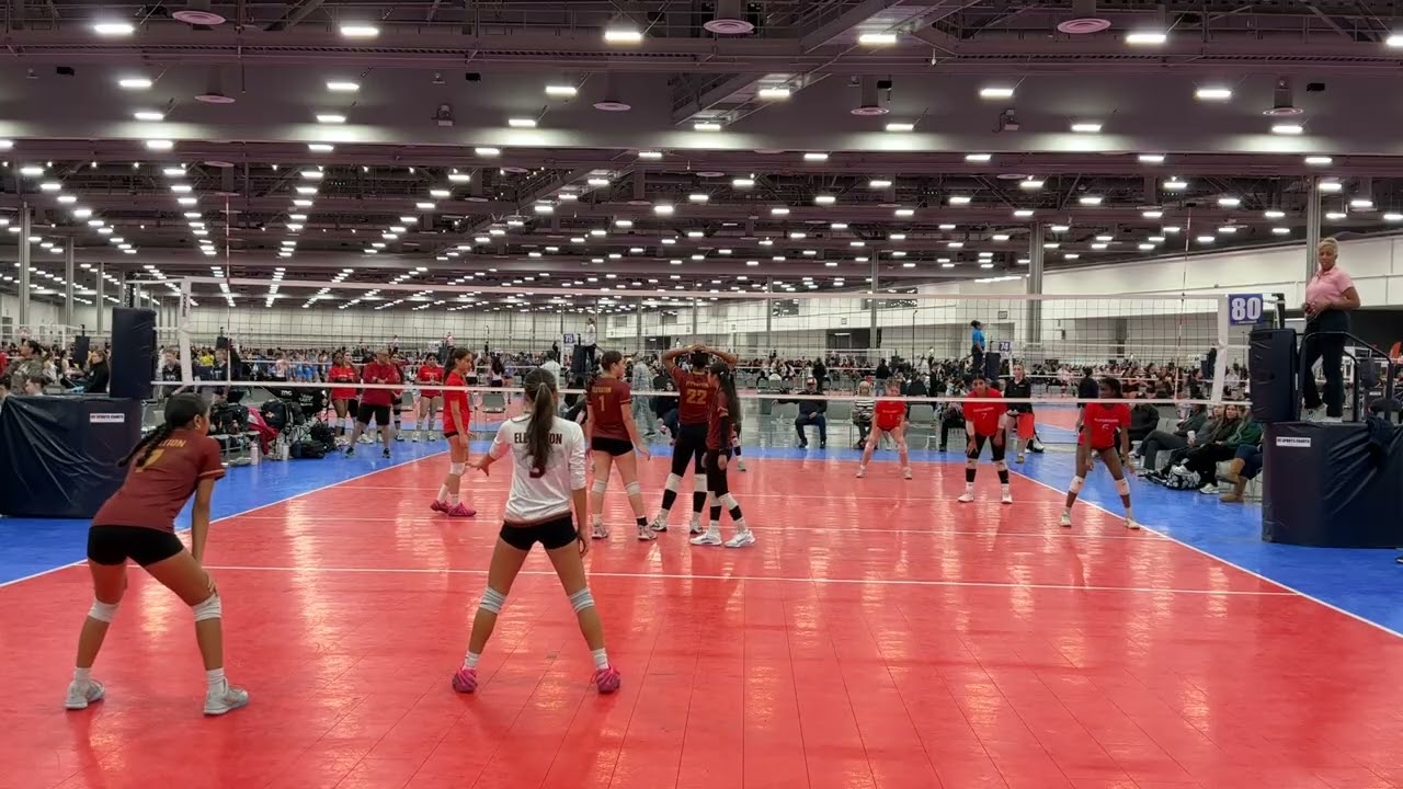 Elite Elevation Oscar 16s Vegas