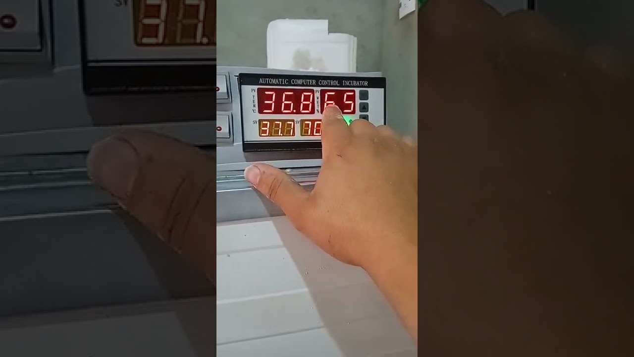 فقاسة 176بيضة أوتوماتيكية 100٪