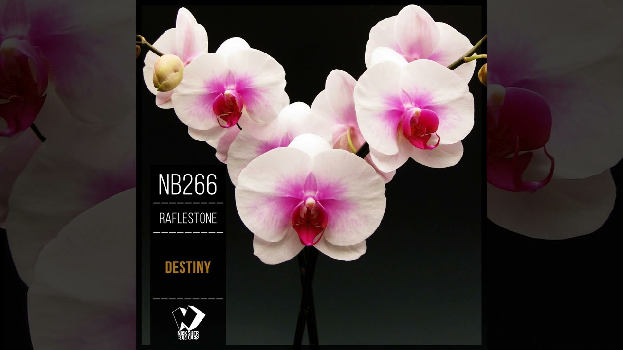 RafleSTone - Destiny (Progressive Mix)