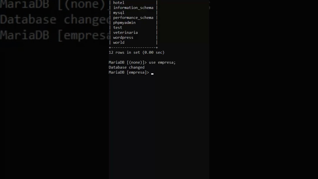 Sentencia USE de MySQL en la consola #basededatos #mysql #sql