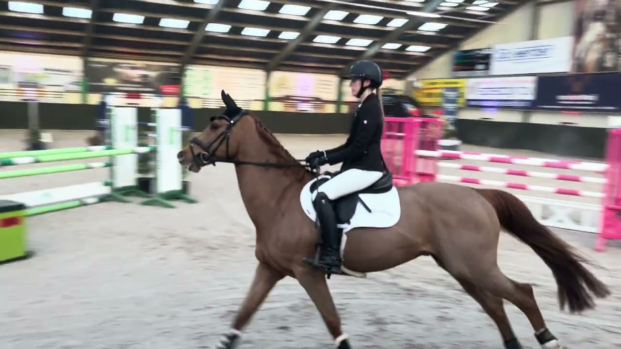 Julius - Ceasar parcours 1.20m  || Stal Groenendaal Bunschoten 2022