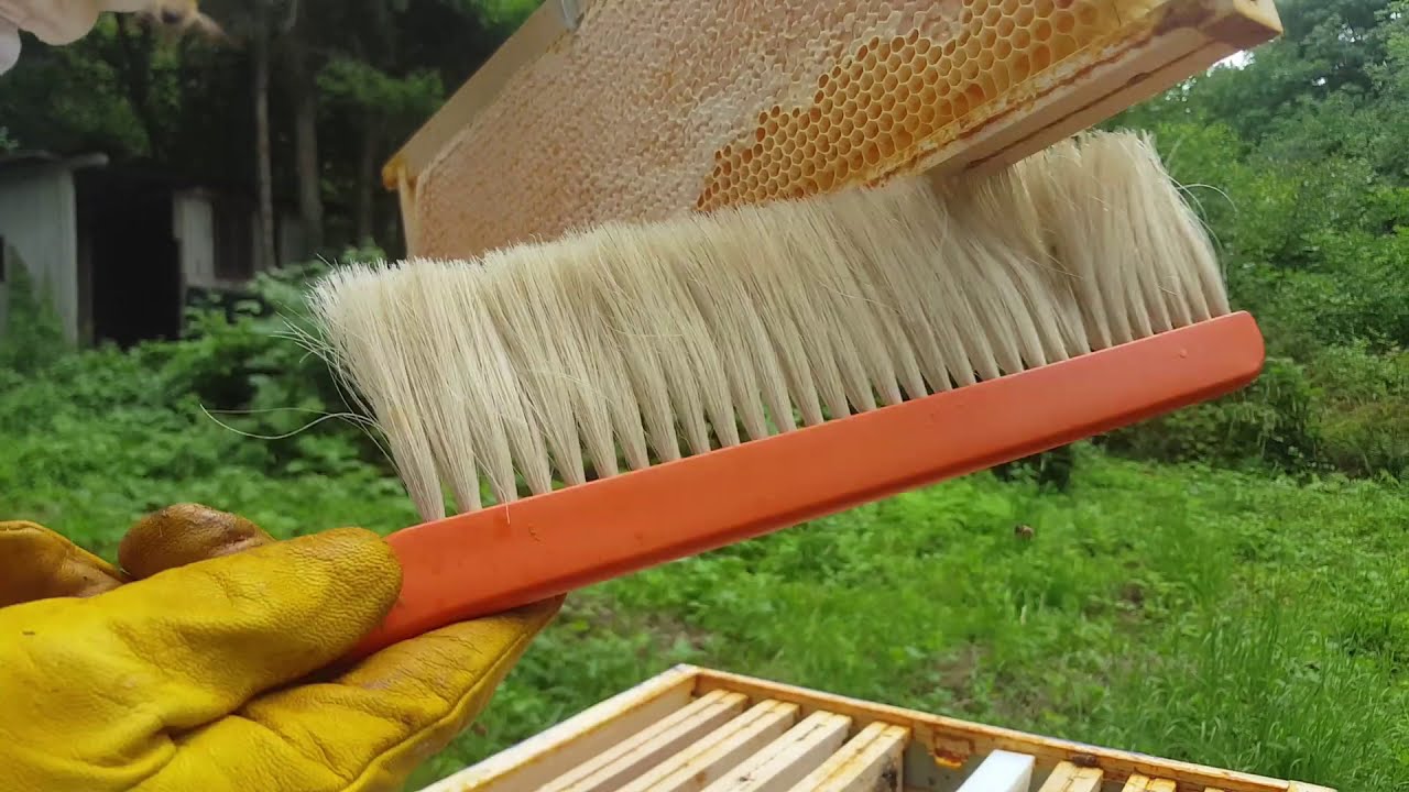 Nicolabeille Episode 9: Visite de hausses, extraction et mise en pot