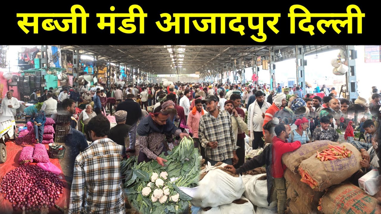 Azadpur sabji mandi Delhi \ wholesale and retail/ tamatar, patato, online , mandi Azadpur new delhi