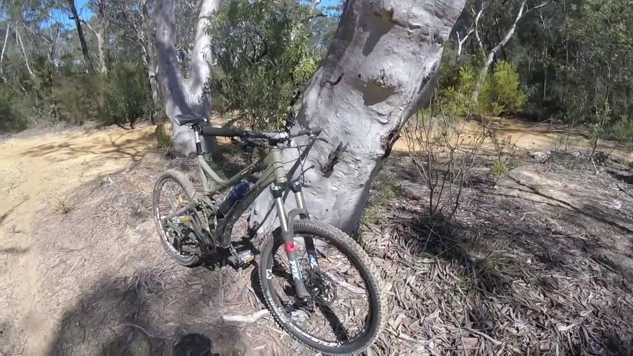 Giant Reign 1 Mountain Bike