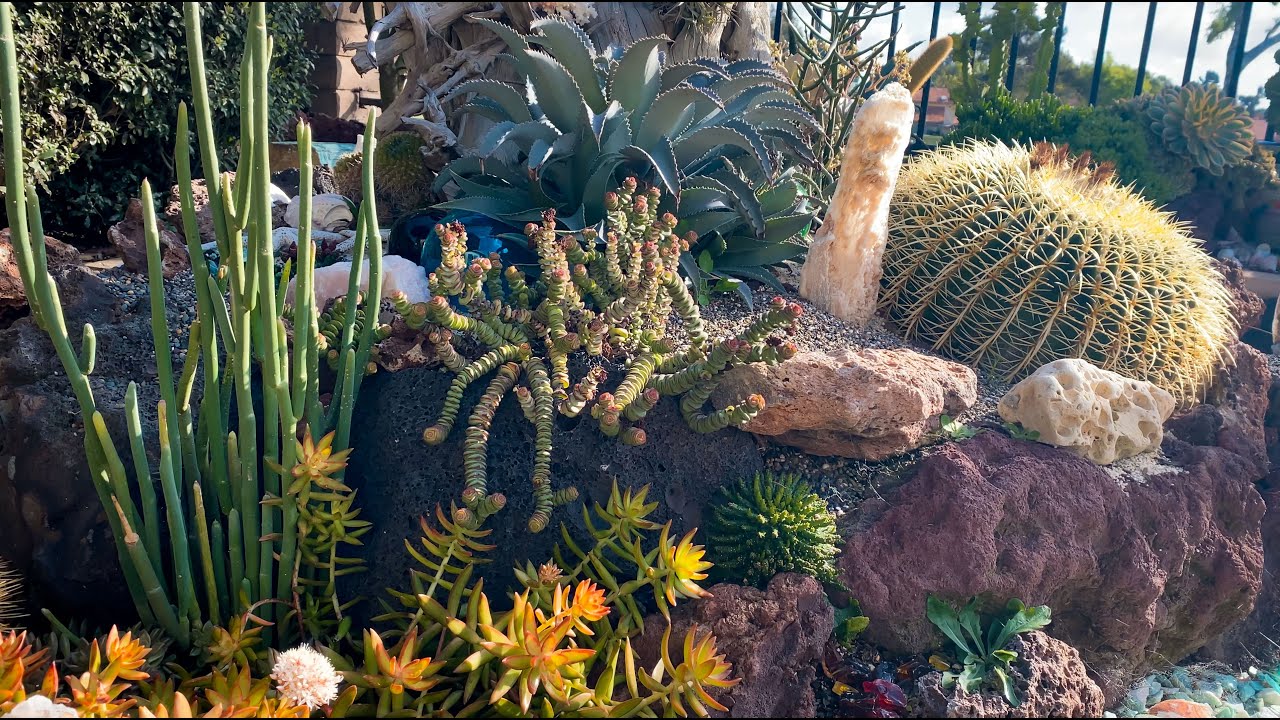 It's Walkabout Wednesday | March Succulent Garden Tour