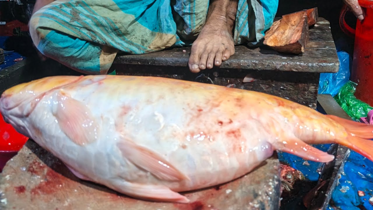 UNBELIEVABLE! 🔥 Fastest Fish Cutting Skills on Earth!#FastestFishCutting#AmazingCutKnif#ViralShorts