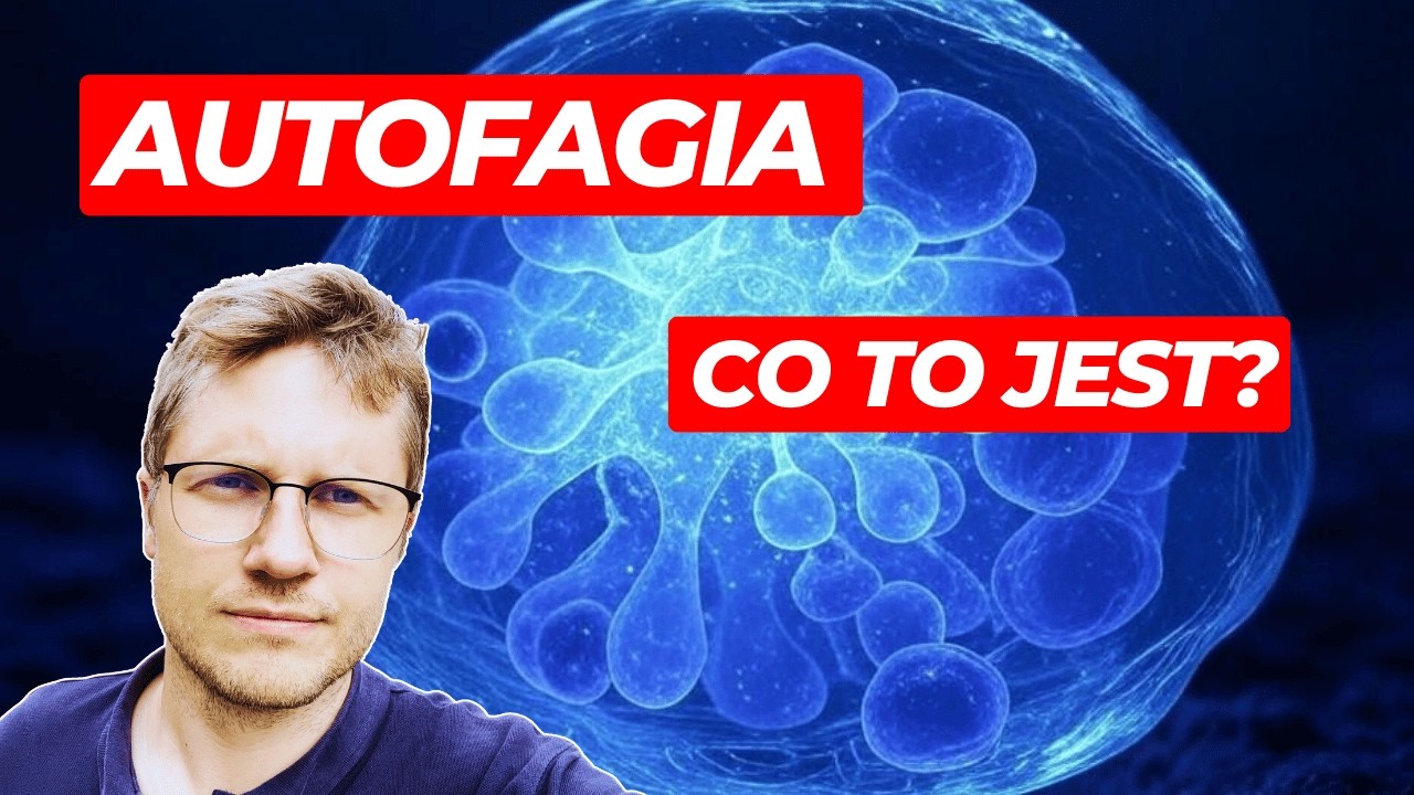 Аутофагия – что это? | Единственное умное новогоднее решение