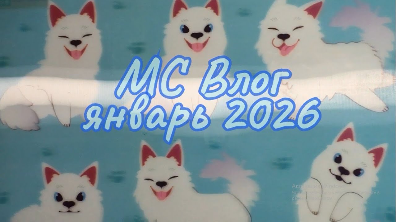 МС Влог январь 2026