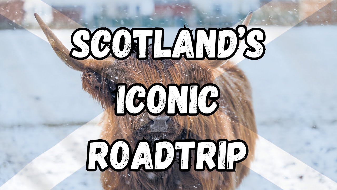 A Complete Guide to the NC500