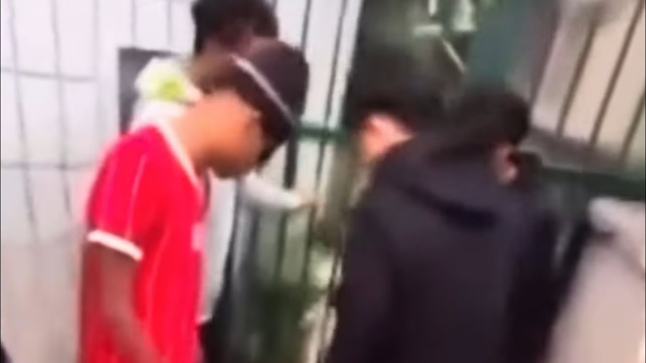 ||france viral case || Tibetan in Paris  gang fight || Dhasa road update || random video ||