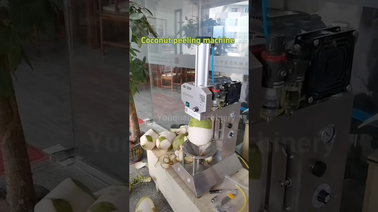 Contact me for coconut peeling #coconut peeling machine #coconut processing machine #peeling machine