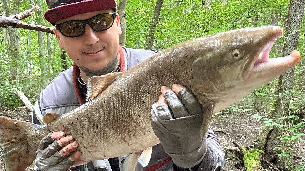 Troć 81 cm Parsęta