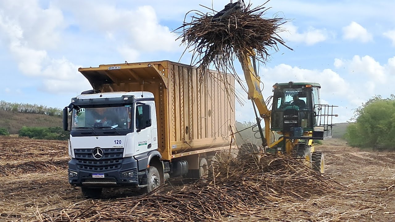 ESSES GUARÁ CANAVIEIRO NOVO CAMINHÃO AROCS  NA CANA DE AÇÚCAR