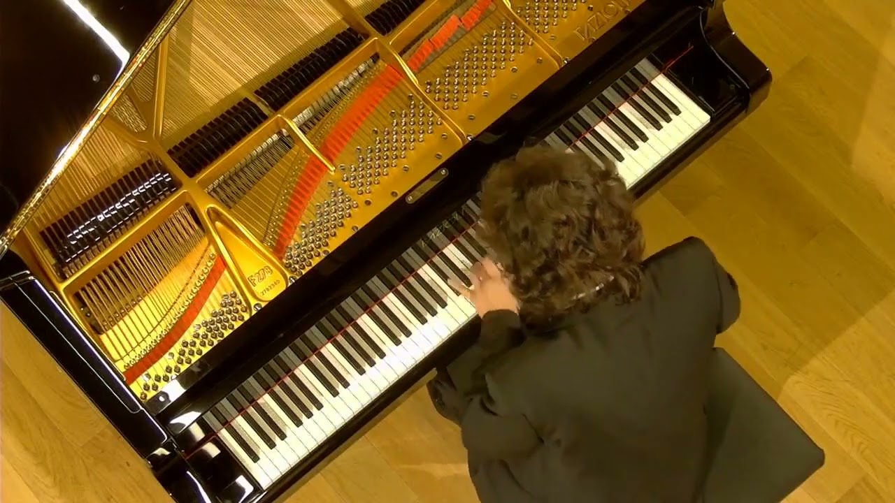 Igor Stepanov - J. Haydn Sonata Hob:VI:40 G-dur