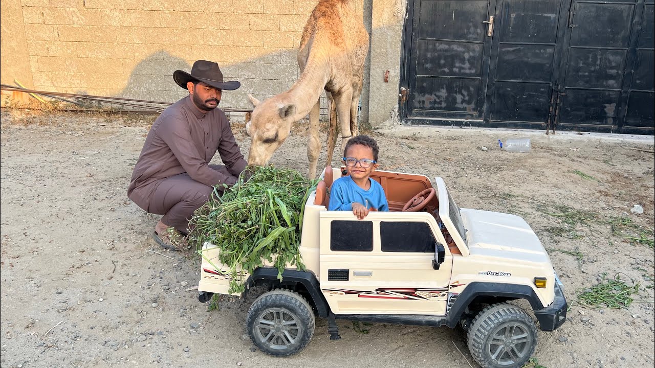 حمودي يجيب اكل للجمل في شاص علولي 😰🐫 #شاص 