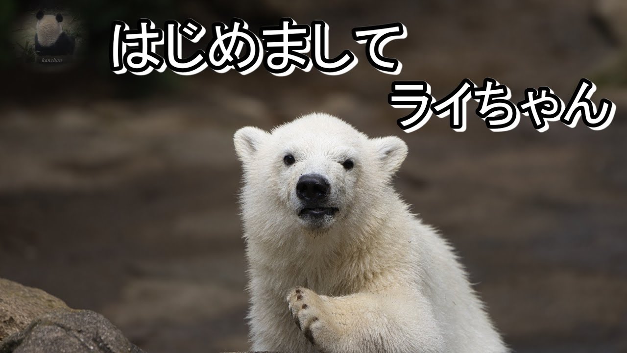 ライちゃん はじめまして 2025.5.14