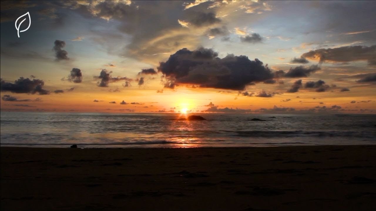Twilight Waves | Peaceful Ocean Music for Meditation & Deep Relaxation