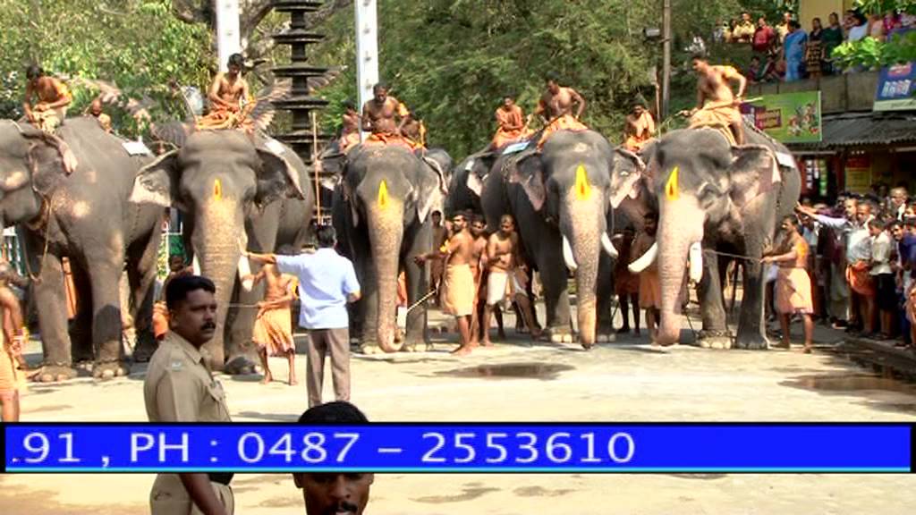 Guruvayoor Anayottam 2013