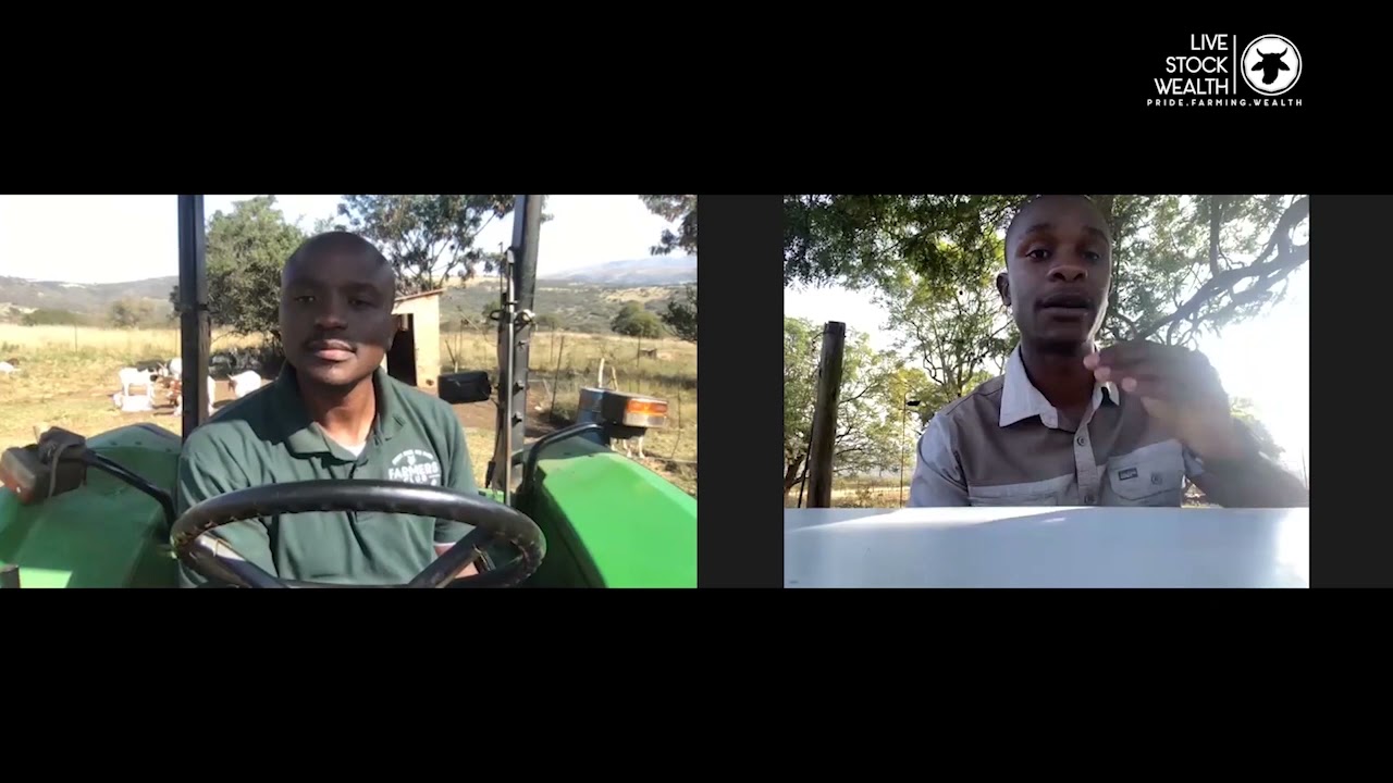 Livestock Wealth Farmers App Run Through
