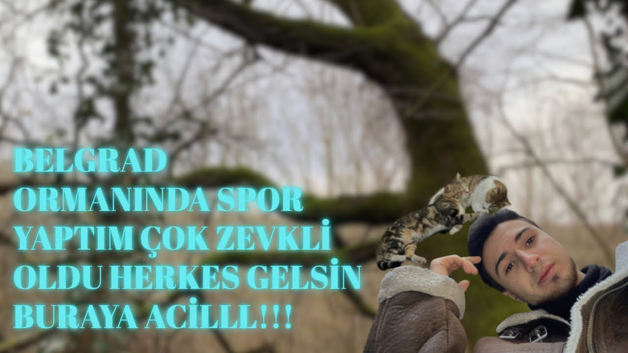 Belgrad Ormanı’nın koşu parkurunda spor yaptım çok eğlendim videoya tıkla eğlenceme ortak ol 😁