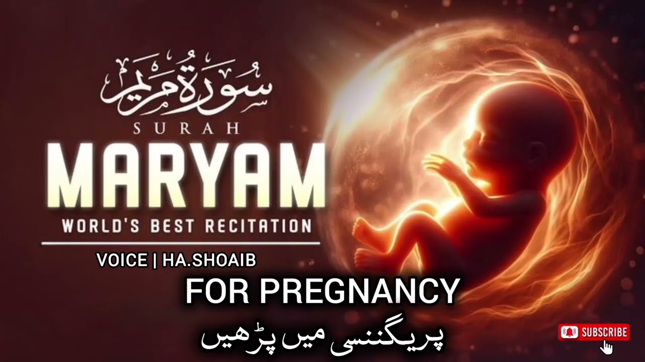  Surah Maryam (سورۃ مریم) | Heart Touching & Beautiful Recitation | By Ha. Shoaib