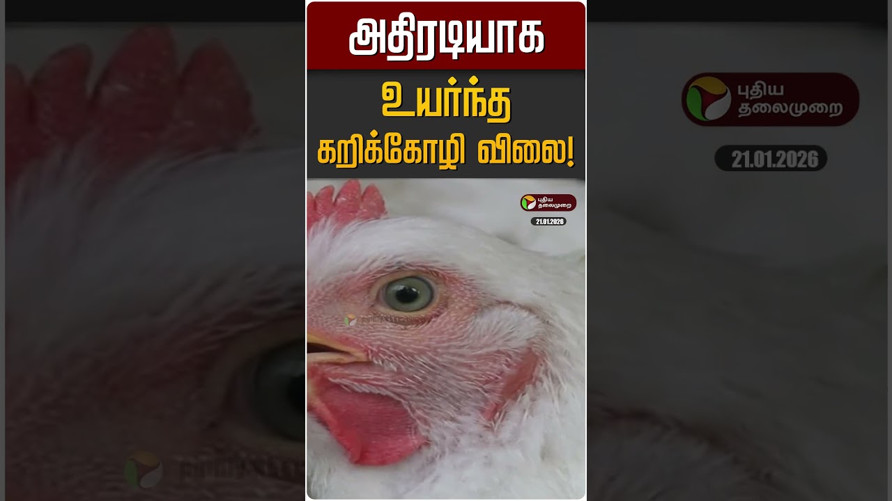 அதிரடியாக உயர்ந்த கறிக்கோழி விலை! | Chicken Price