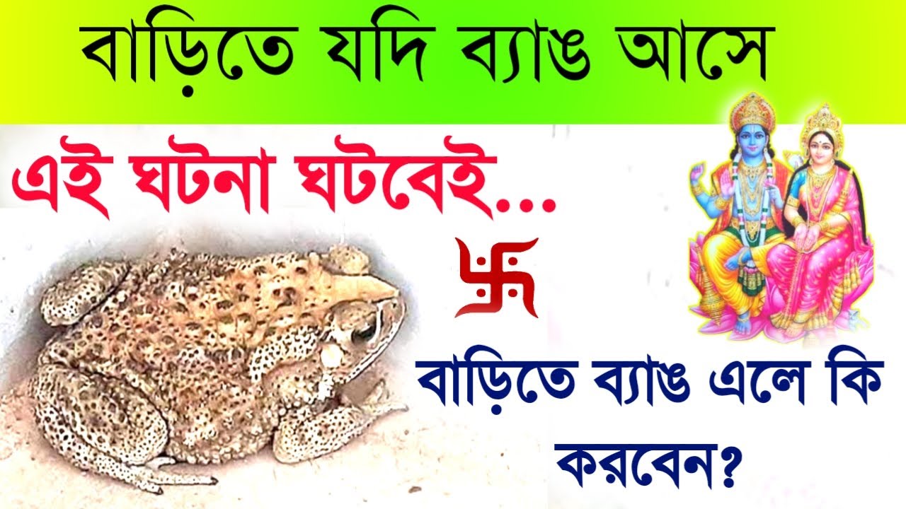 বাড়িতে ব্যাঙ আসলে এই ঘটনা ঘটবেই -  করুন এই কাজ || Sign of God || Vastu Shastra