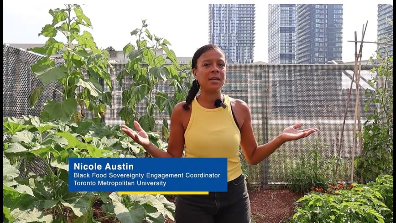 CSFS Researcher Spotlight: Nicole Austin (trailer)