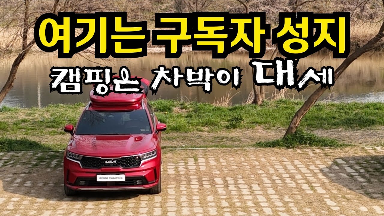 캠핑은 차박이 대세일세 차박의 성지에서 만난 구독자님들 [쏘렌토 SUV 승용캠핑카 Korean car camping] #219