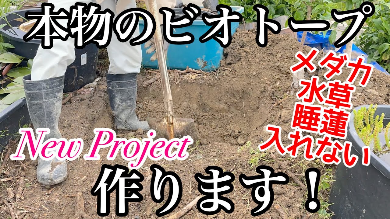 【NEWプロジェクト】本物のビオトープを作る1　今までとは全く違う本当のビオトープを作ります！○○の為のビオトープ　メダカ睡蓮ビオトープ