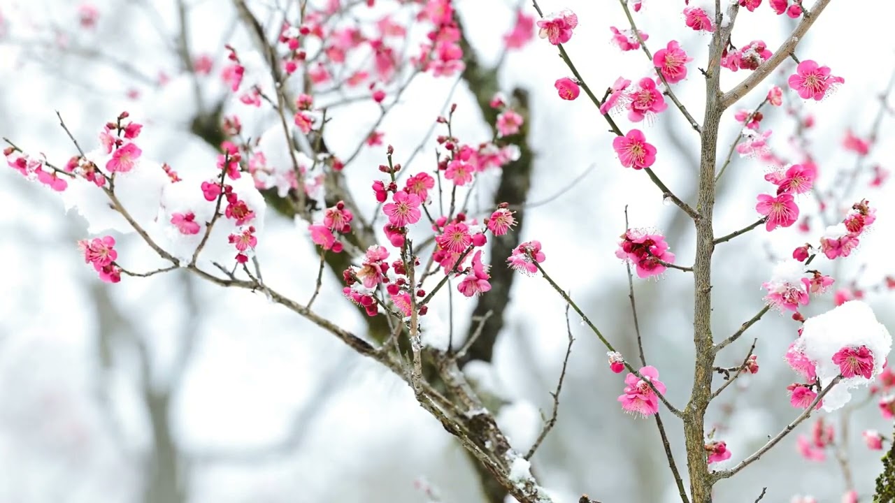 23 February BE 2569