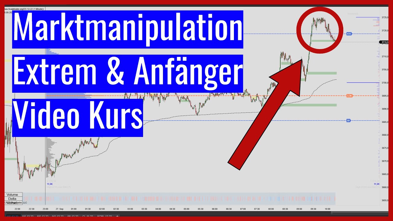 Marktmanipulation Extrem & Anf&auml;nger Video Kurs