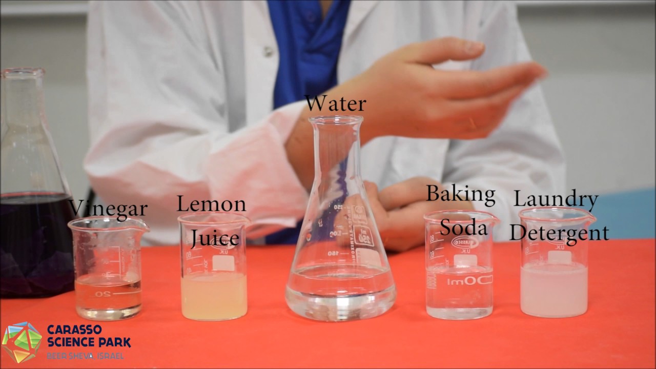 Measuring pH in Foods Experiment
