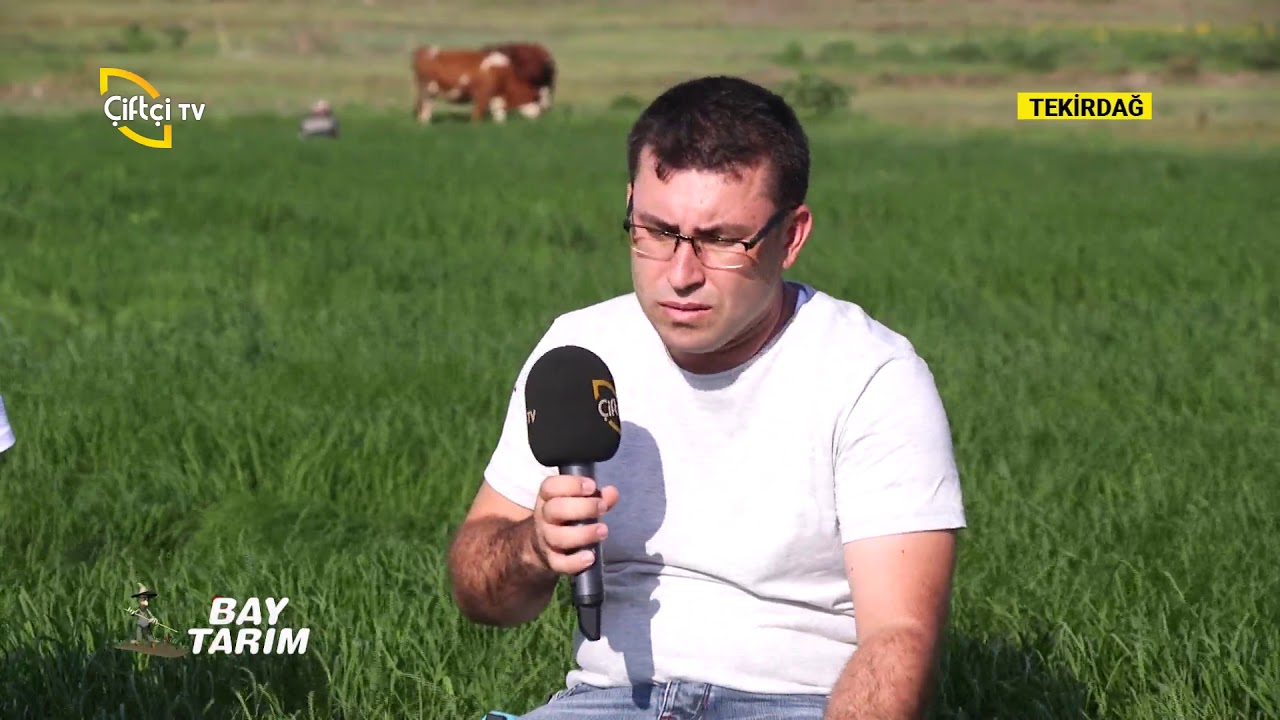 TRAKYA'DA TEFF GRASS (YAZLIK OT) YETİŞTİRİCİLİĞİ-BAY TARIM/ÇİFTÇİ TV