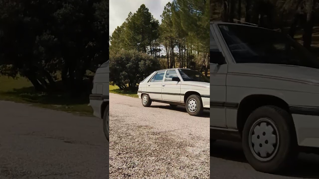 Renault R11