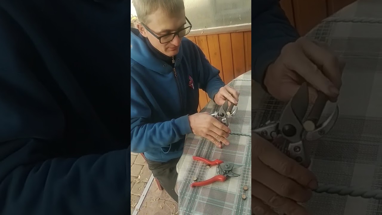 сектор ARS 8va vs Lowe 7.104
