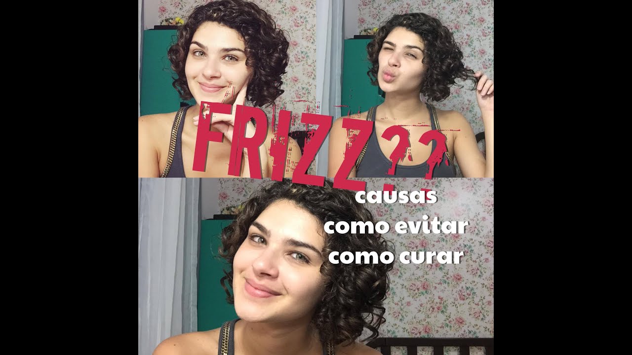 DOSSIÊ FRIZZ: como combater, evitar, o que causa...