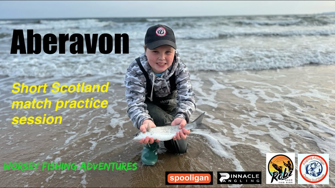 Aberavon match practice. Small bass and golden grey mullet. Sea Fishing UK