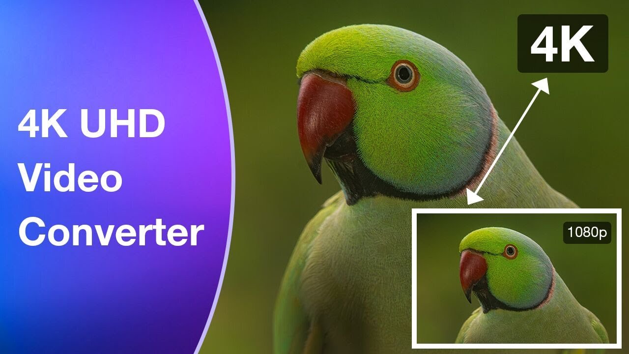 Best 4K Video Converter: Easily Convert 4K to 1080p and Vice Versa