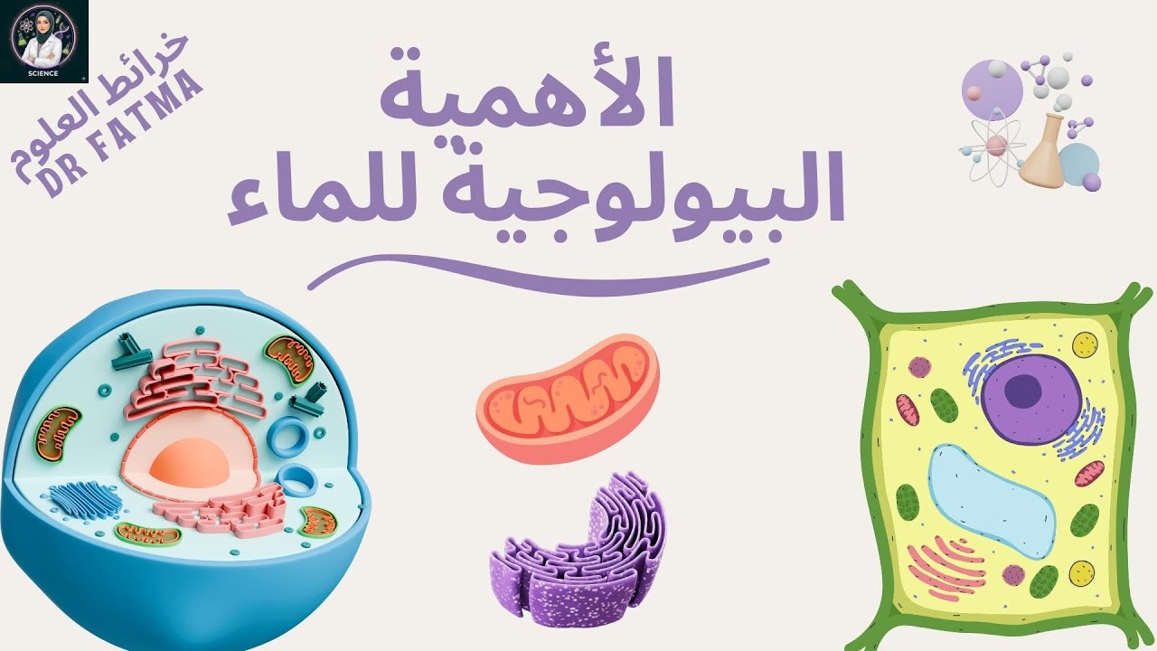 بالطريقة العنكبوتية شرح درس الأهمية البيولوجية للماء - العلوم المتكاملة - 2026 - الصف الاول الثانوي