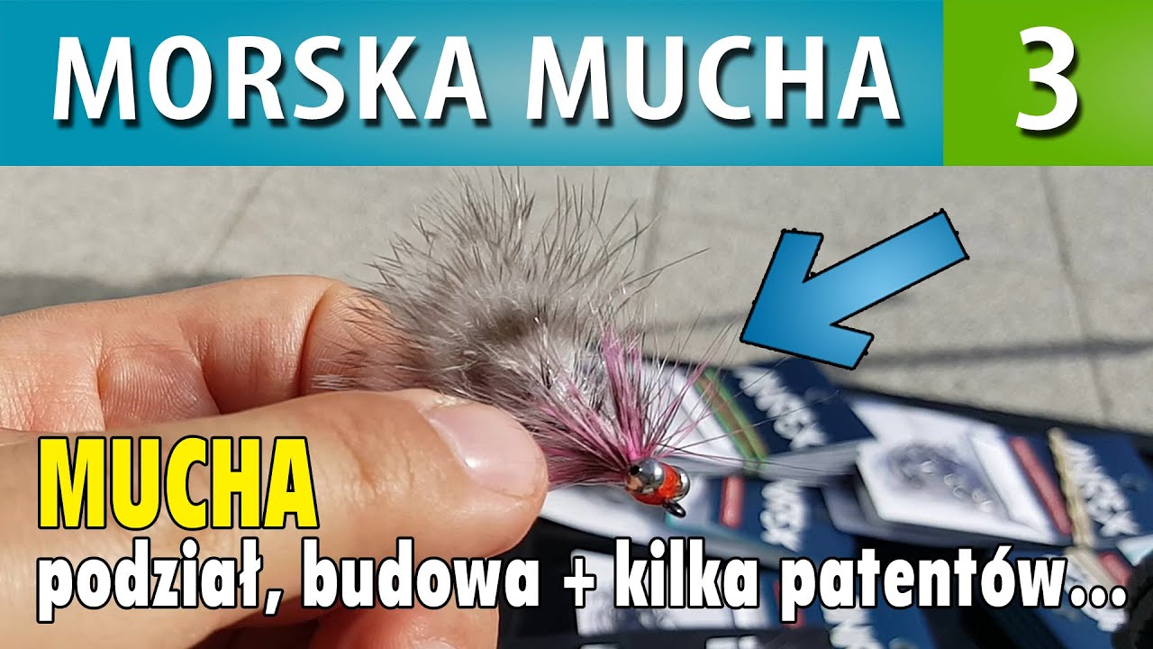 MORSKA MUCHA ➤ budowa, rodzaje, przeznaczenie...