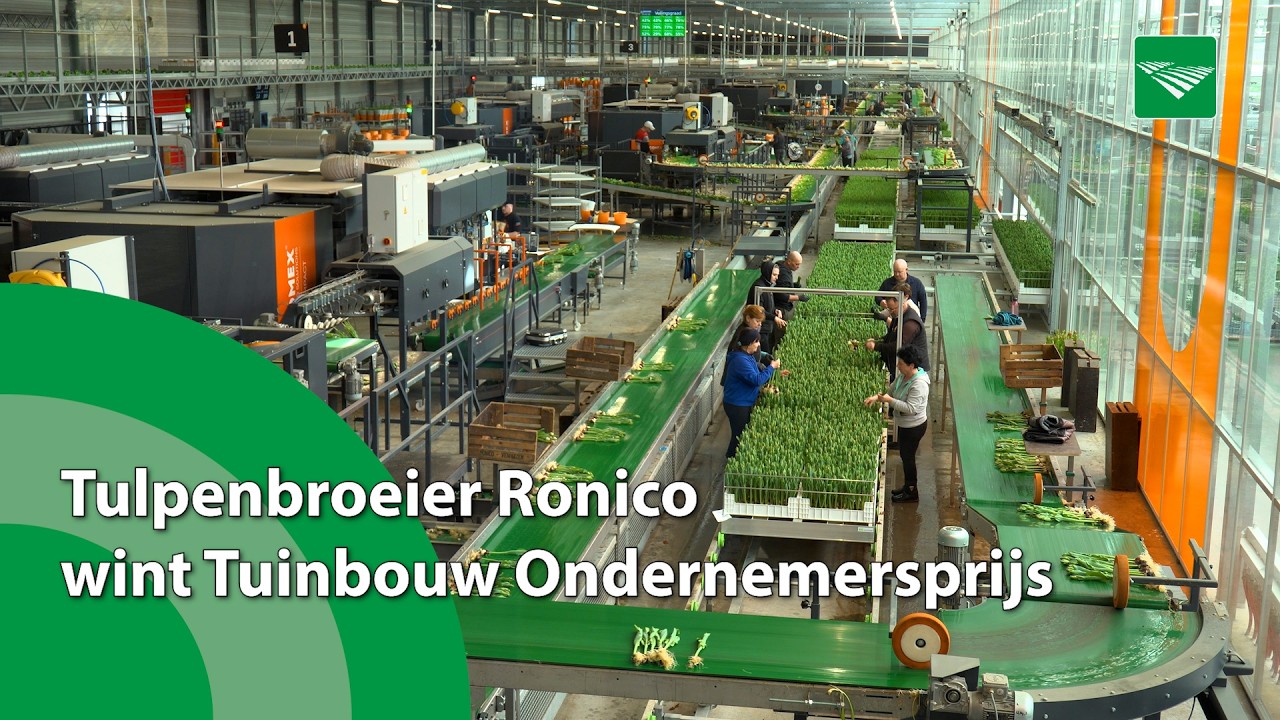 Tulpenbroeier Ronico wint Tuinbouw Ondernemersprijs