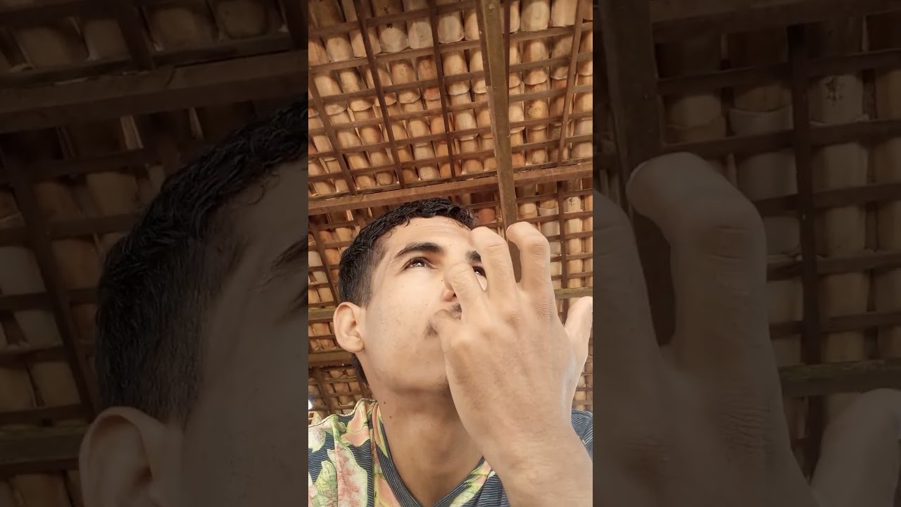 Day 338: Some Ideas - 19/02/2026