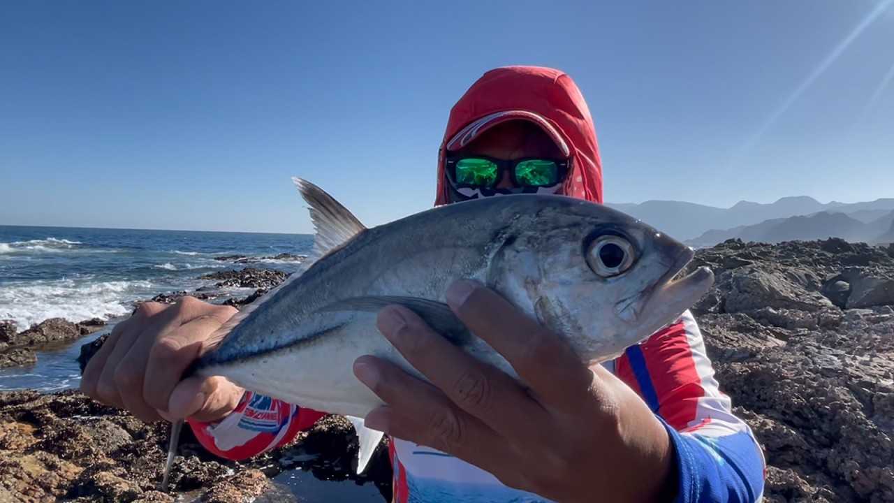 The Sea is Boiling! Insane Fishing Action on the Rocks