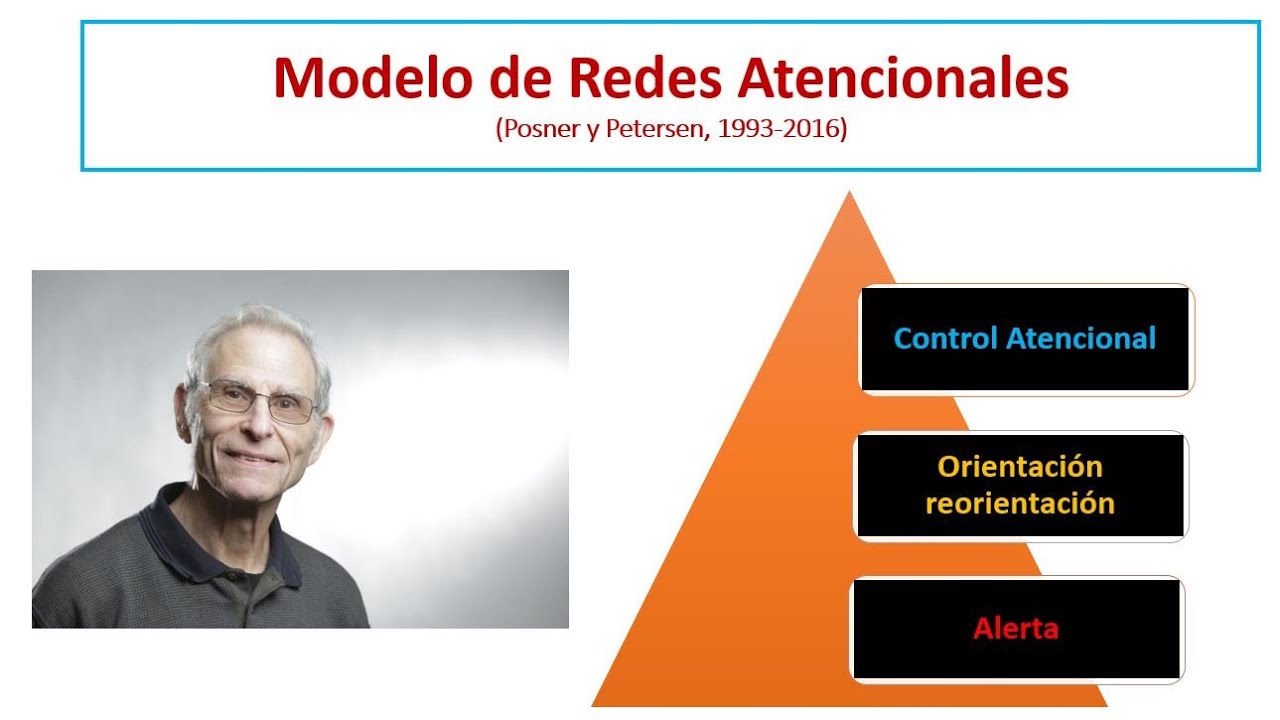 Neuropsicología de la Atención