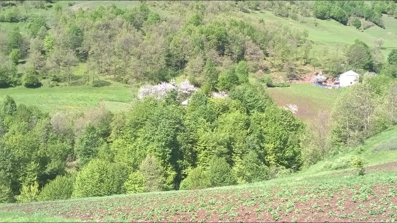 Gədəbəy Şınıx kəndi