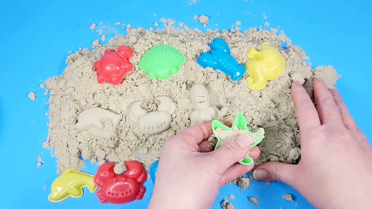 Making Sea Animals Shapes With Sand