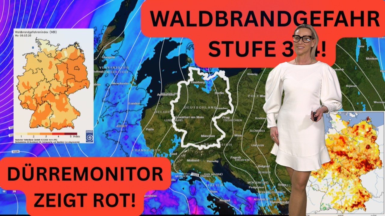 Dürremonitor zeigt rot & Waldbrandgefahr erreicht Stufe 3 bis 4 in Deutschland. Regen in Sicht?