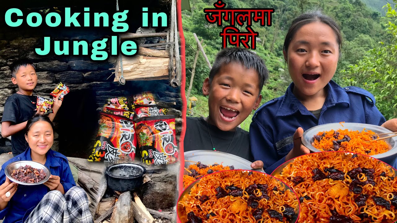 Spicy Noodles And Buff Meat Cooking in Jungle ! Village Life in Nepal !